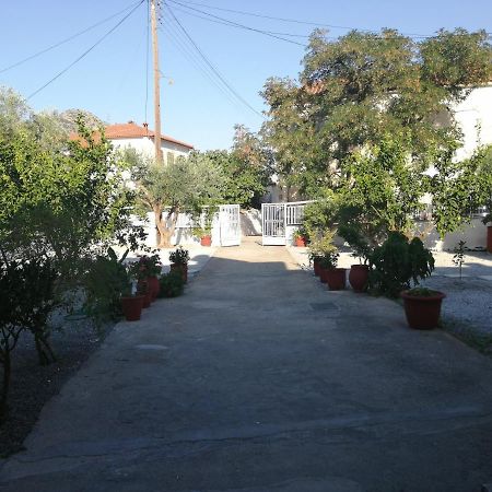 Sunny Cozy House With Grand Courtyard Apartment Leonídion Exterior photo